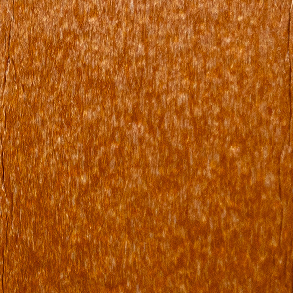 Cedar