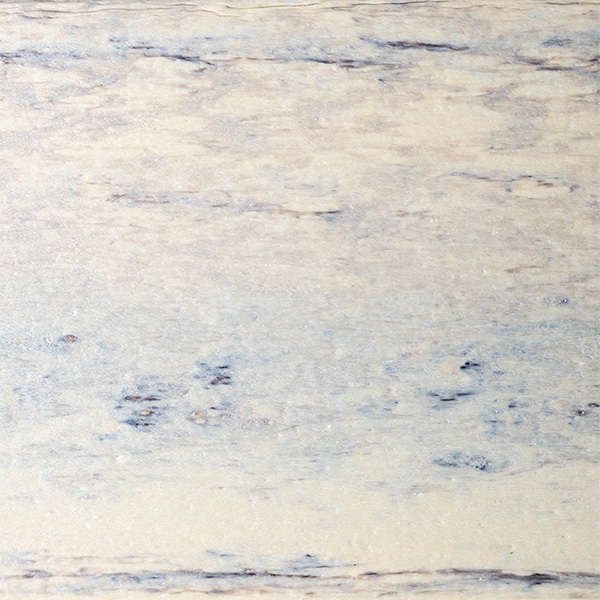 Speckled Maple